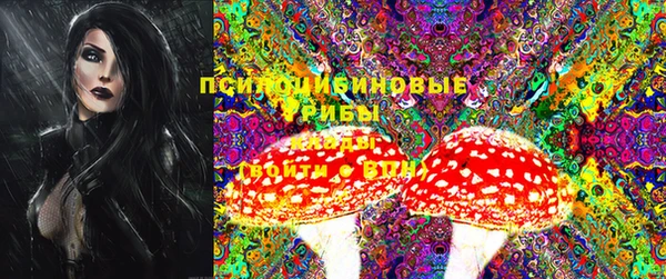 PSILOCYBIN Касимов