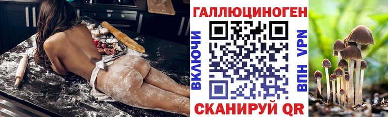 Купить  Лянтор  Псилоцибиновые грибы Cubensis 